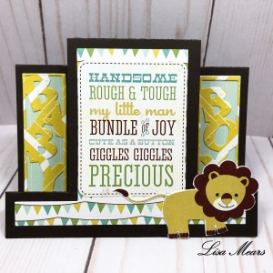 Bundle of Joy Paper Collection Card and Baby Shower Invitations