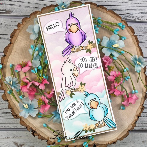 Birds2Stamp Slimline Card