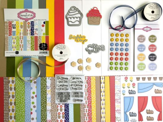 The Stamps of Life November 2020 Card Kit