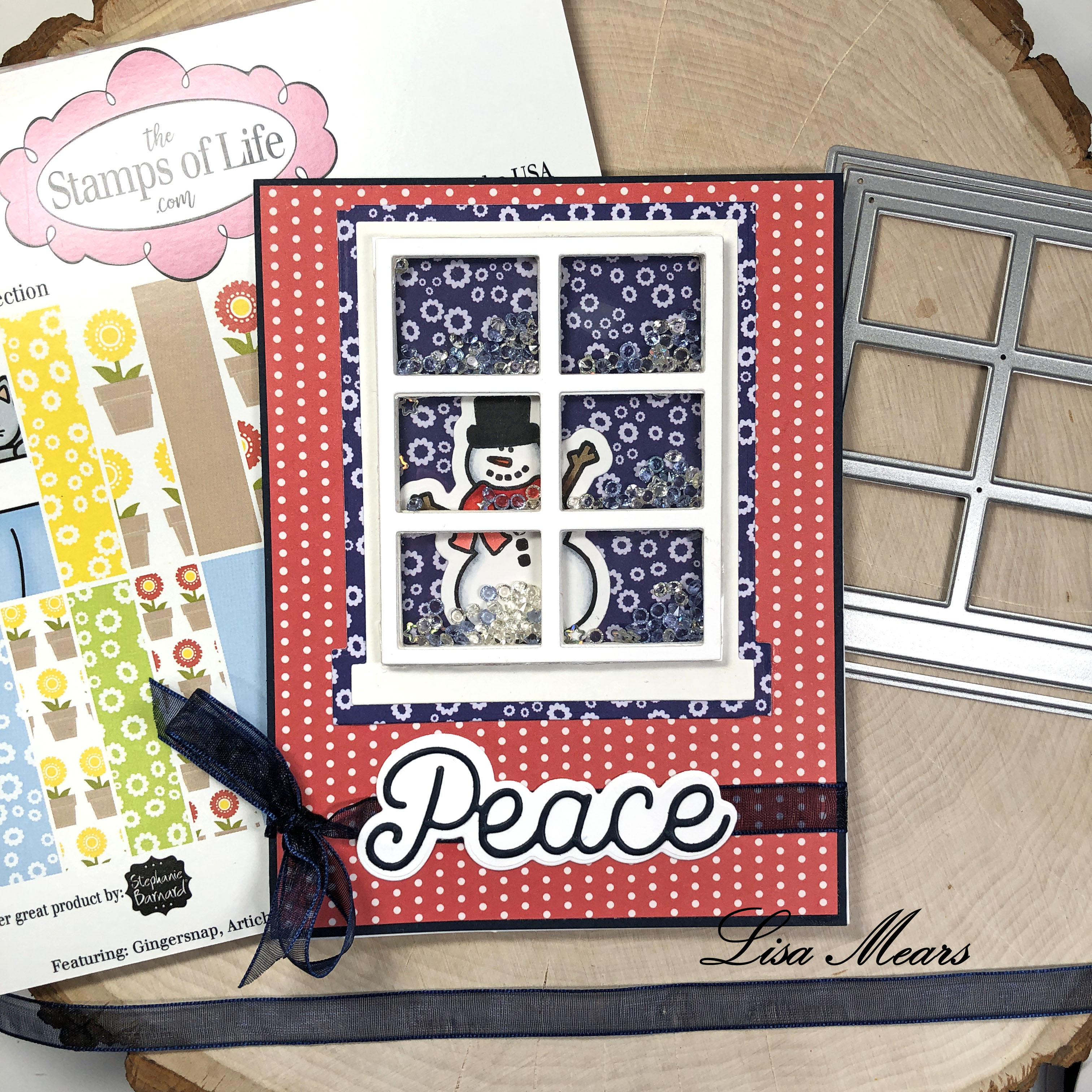 The Stamps of Life November 2020 Card Kit - 10 Cards 1 Kit