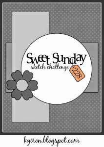 This image has an empty alt attribute; its file name is sssc228.jpg