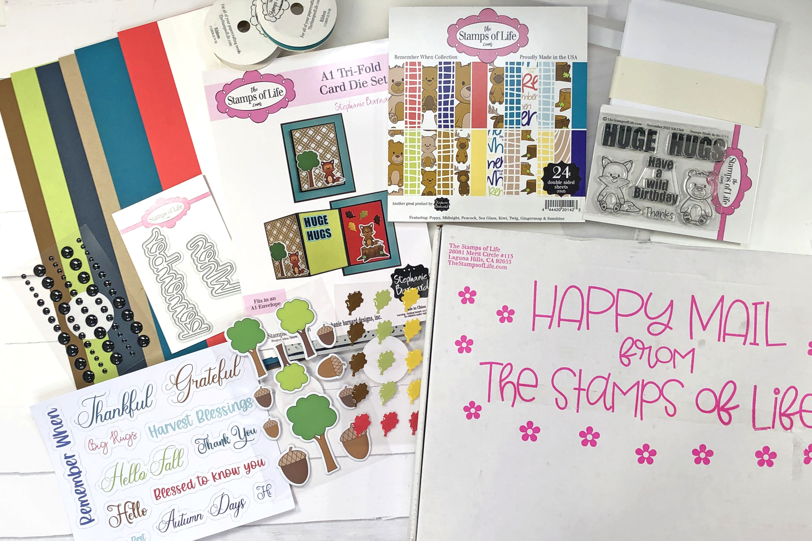 The Stamps of Life November 2022 Card Kit Unboxing